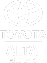 strony www dla dealerów, salonów samochodowych, integracja z otomoto, systemy crm, system do obsługi salonów samochodowych, systemy crm dla dealerów samochodowych