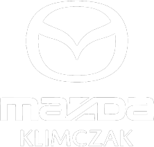 aplikacja internetowa dla dealerów samochodowych, platforma do zarządzania siecią salonów, projektowanie stron dla dealerów samochodowych, salony samochodowe integracja z otomoto